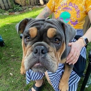 Meet your Posher, Erika